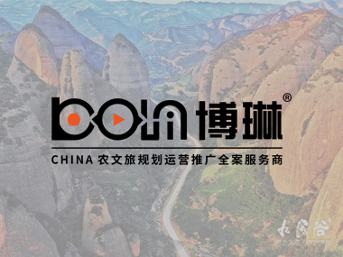 甘肅建投鋼結構有限公司:鋼結構保障性住宅小區D區模型制作